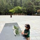 노블키즈유치원 이미지