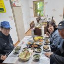 킹콩솔숲캠핑장