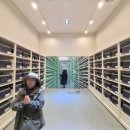 볼트글로벌