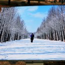 와동체육공원 이미지