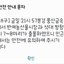 부산 해운대구 반여동에 멧돼지 7~8마리 출몰 이미지