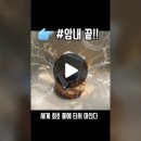 올제이물류