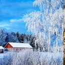 하얀세상 이미지