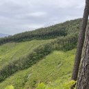 수비 면사무소 이미지