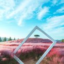 신소양체육공원 이미지