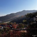 반천버스승강장 화장실 | 2025 화담숲 단풍 후기 | 가을 단풍 현황·주차·포토존 총정리