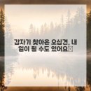 경희살힘한의원 | 침술, 통증, 결림, 오십견, 한약, 다이어트, 뻐근함: 내 몸 컨디션을 바꿔보는 소소한 이야기