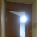 솔내음 파비르 이미지