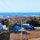 선샤인애월 이미지