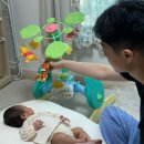 떡튀순연구소