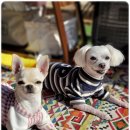 늘편한캠핑장 이미지