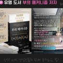 에스아이티비 이미지