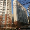 하단동1217 이미지