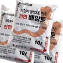 이토 - 중구 동성로12길 51 | 이토