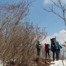 아리바우길(정선코스) 이미지