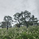 2026년9월1일(화) 서울시 종로, 성북구.♧낙산(265.2m)＞백악산(북악산.342m)＞인왕산(338.2m)♧종주를 다녀와서ᆢ내 나 이미지