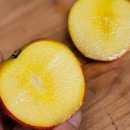 데이팜 | 신선 VS 신비복숭아1kg 칼로리 후숙과정 올데이팜 제철과일