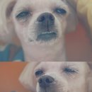 네임드짐 휘트니스 이미지