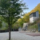 부산 근교 양산 캠프포레 캠핑장 후기 (A, B, C, D 사이트) / 여름 계곡 평상 금액