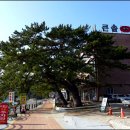 큰솔모텔 이미지