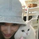 와뜨래요 이미지