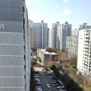 월성영남 네이버블로그
