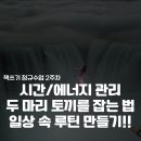 시간토끼 이미지