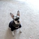 구강농장 이미지