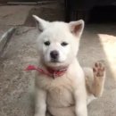 세상만사 이미지