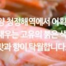 부일클래스