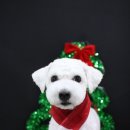 견사무소 호텔 유치원 이미지