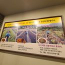 갑동농장 이미지