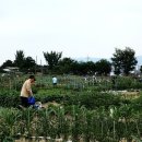 수원-2031 이미지