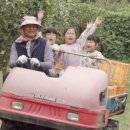 과수원집 이미지