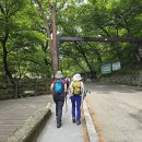 금정산성 금정산 금샘 고당봉 240525 이미지