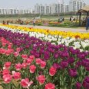 조아가든 이미지