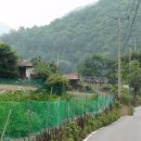 침곡 이미지