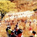 적상면044 Daum카페