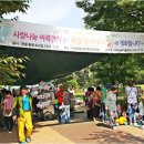 경주벼룩시장