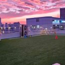 멍애견카페 이미지