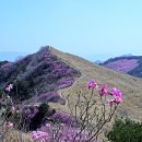 반구정건강