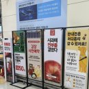 신환롯데 - 무안군 남악로162번길 80 | 신환롯데