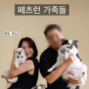페츠런 이미지
