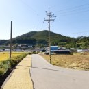 정도리