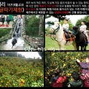 서광자동차랜드 이미지