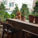 비트윈태권도 이미지