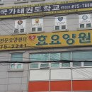 파라솔요양병원 네이버블로그