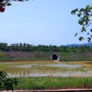 새들가든 이미지