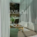 글라스뷰 | 경기 가평군 청평면 코리달리스 | 청평호뷰 감성카페 글라스큐브 이용 후기