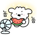 서건도카라반 이미지